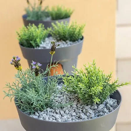 Luxury & Stella Maris Split