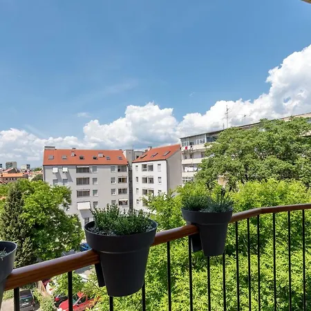 Luxury & Stella Maris *