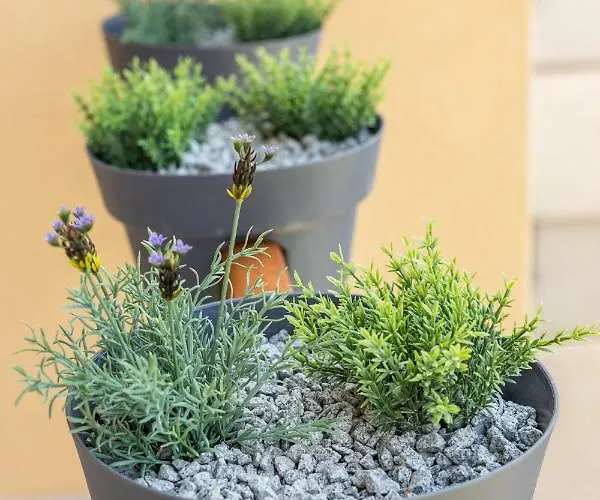 Luxury & Stella Maris Split